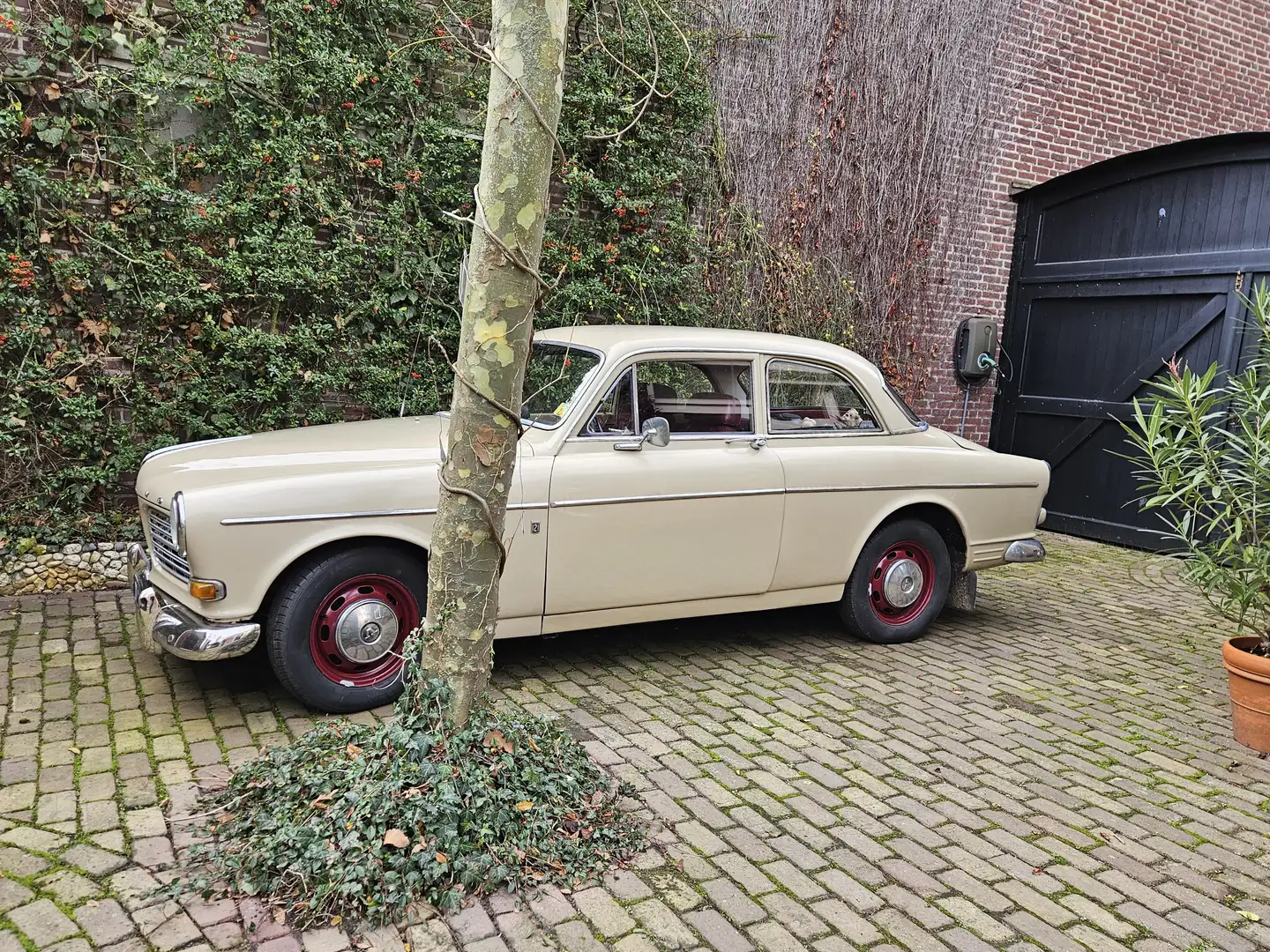 Volvo Amazon P130 Beige - 2