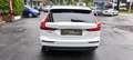Volvo V60 Kombi Momentum, Autom., Klima, DAB Weiß - thumbnail 5