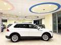 Volkswagen Tiguan Tiguan II 2021 2.0 tdi Life 150cv dsg Bianco - thumbnail 5