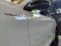 Alfa Romeo Stelvio Stelvio 2.2 t Veloce Q4 210cv auto White - thumbnail 20