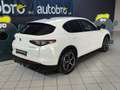 Alfa Romeo Stelvio Stelvio 2.2 t Veloce Q4 210cv auto Bianco - thumbnail 2