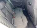Skoda Octavia Combi 2,0 TDI Sportline DSG ACC STHZ LED KEYLES... Weiß - thumbnail 17
