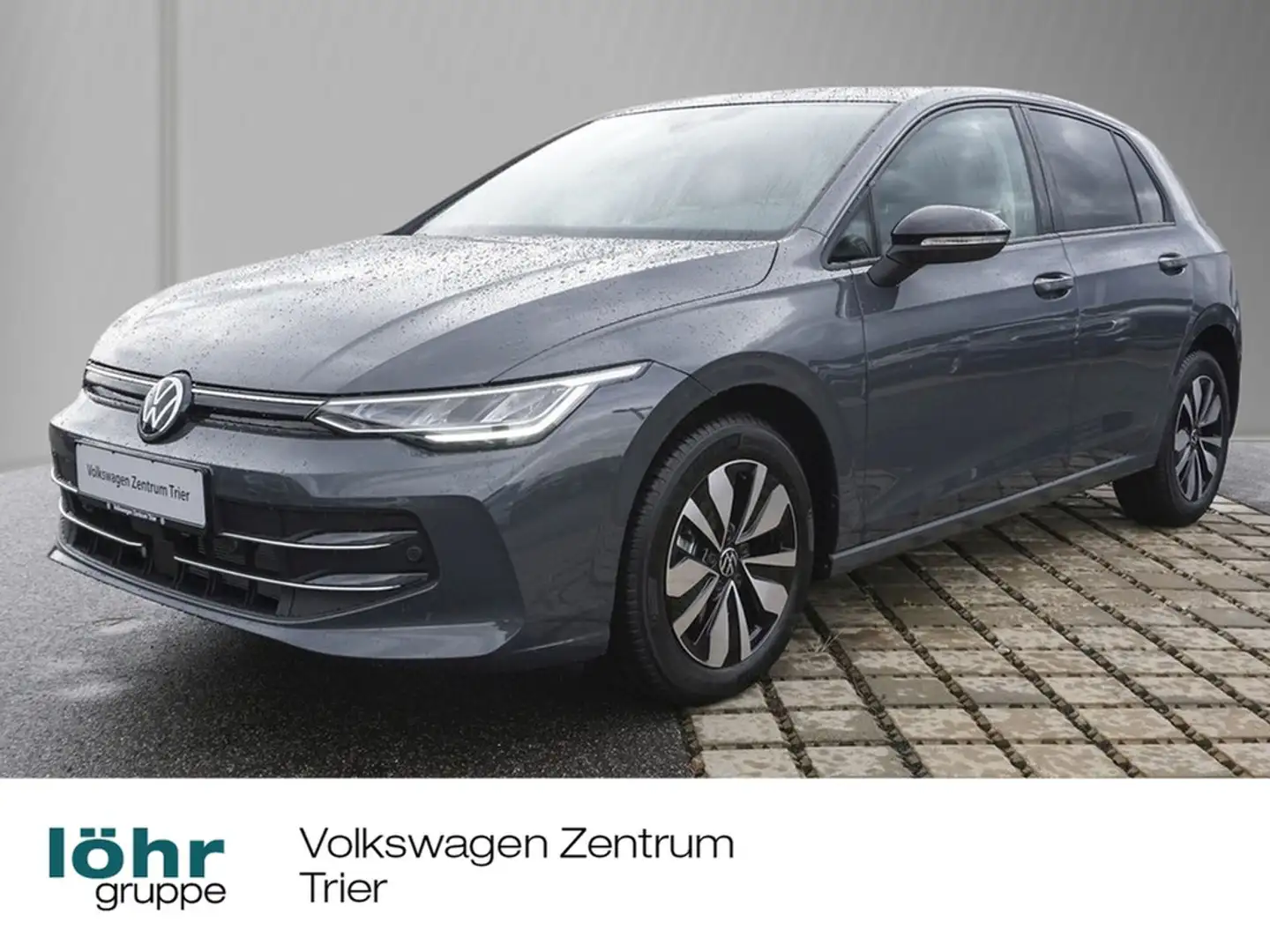 Volkswagen Golf VIII 2.0 TDI DSG Goal AHK, Rear-View Grau - 1