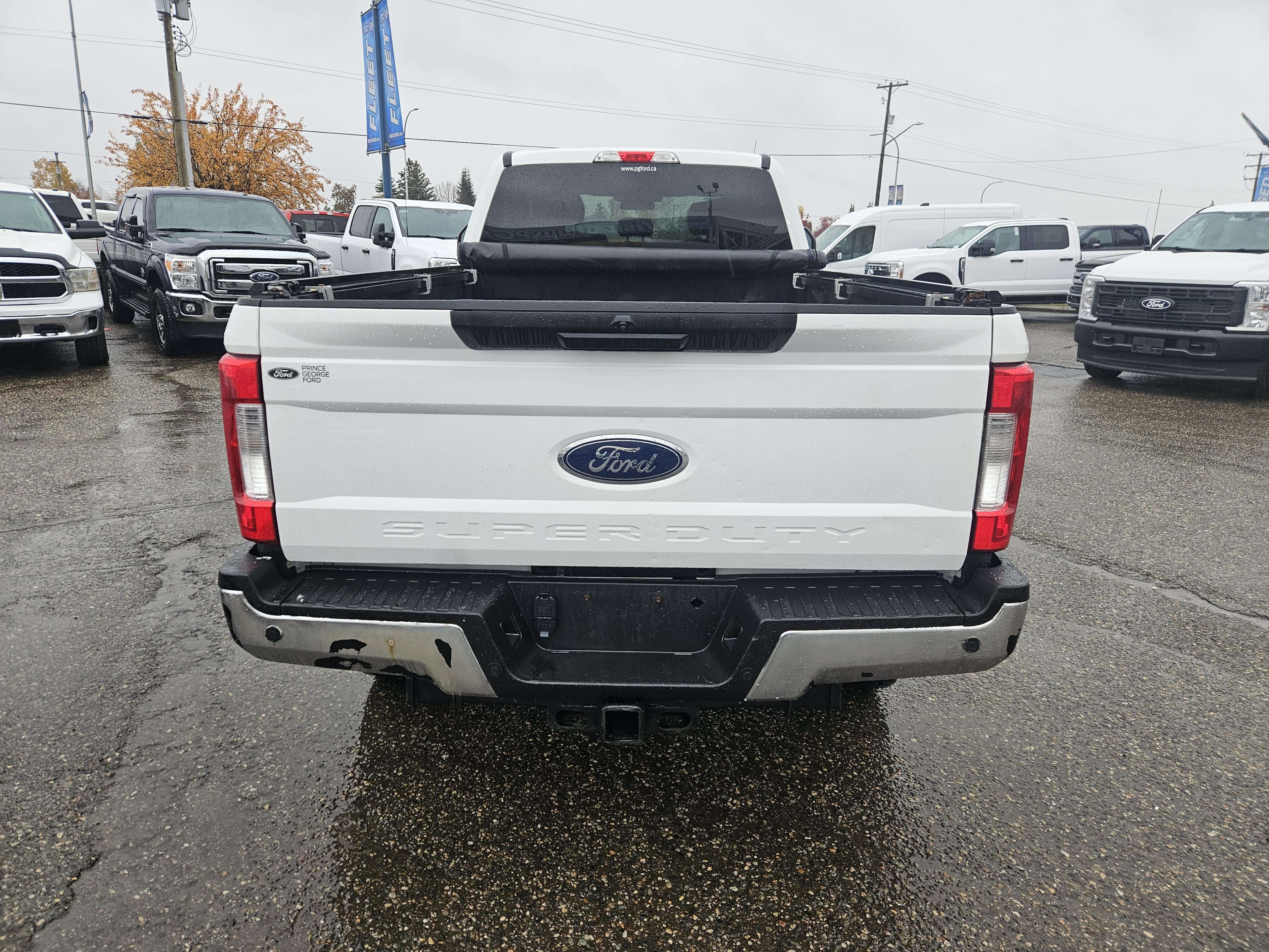 Image 6