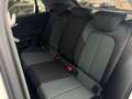Audi Q2 30 TDI Design 85kW Blanc - thumbnail 16