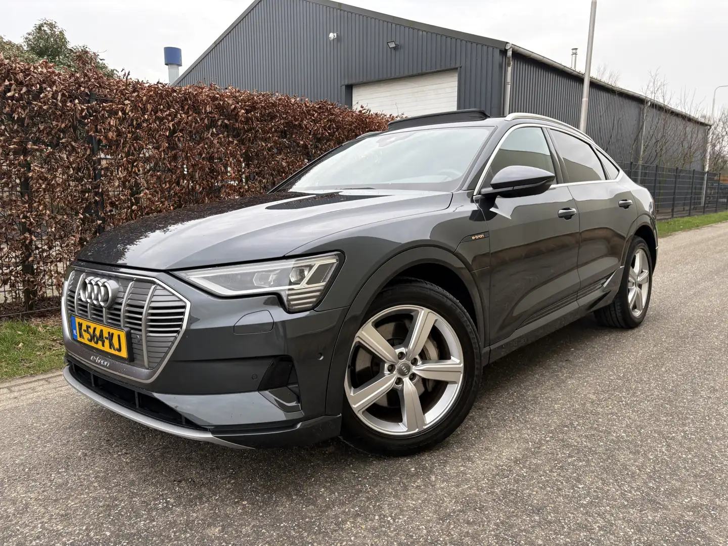 Audi e-tron Sportback 50 quattro Business edition Plus 71 kWh Grau - 1