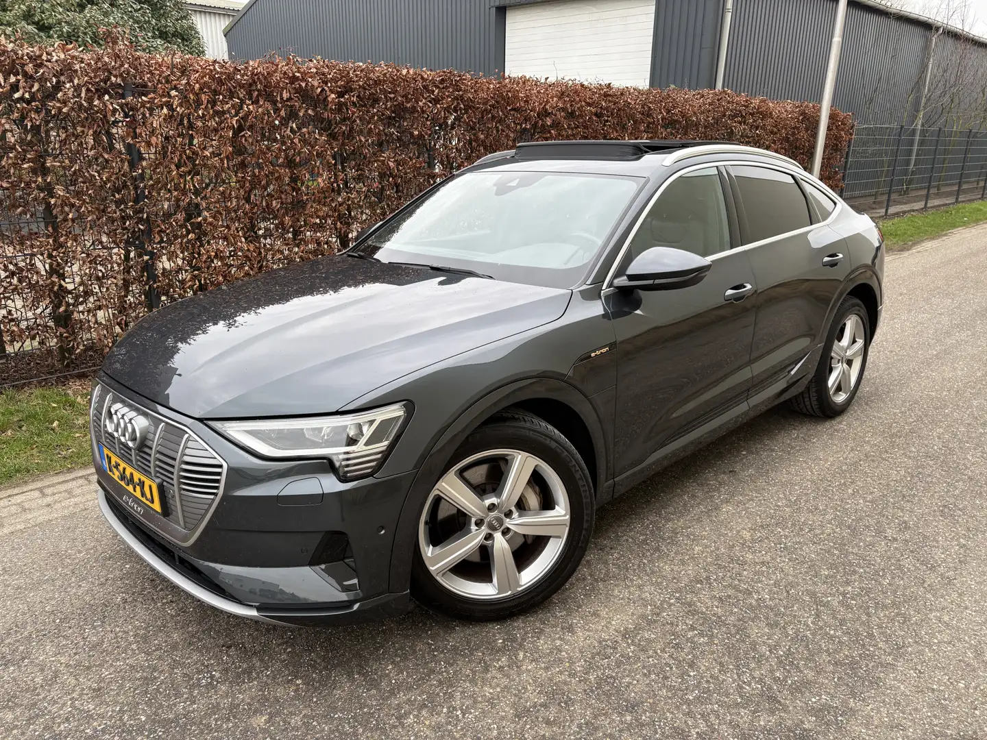 Audi e-tron Sportback 50 quattro Business edition Plus 71 kWh Grau - 2