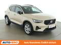Volvo XC40 2.0 B4 Plus Dark 2WD Mild-Hybrid Braun - thumbnail 8