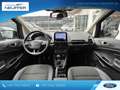 Ford EcoSport Titanium/Xenon/Totwinkel/Rfkamera Schwarz - thumbnail 11