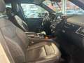 Mercedes-Benz GLS 350 d 4M*AMG*Pano*Sthzg*Night*HUD*H&K* Weiß - thumbnail 10