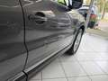 Volkswagen Tiguan Tiguan 1.4 TSI 4Motion Life *Xenon*Kamera Gris - thumbnail 2