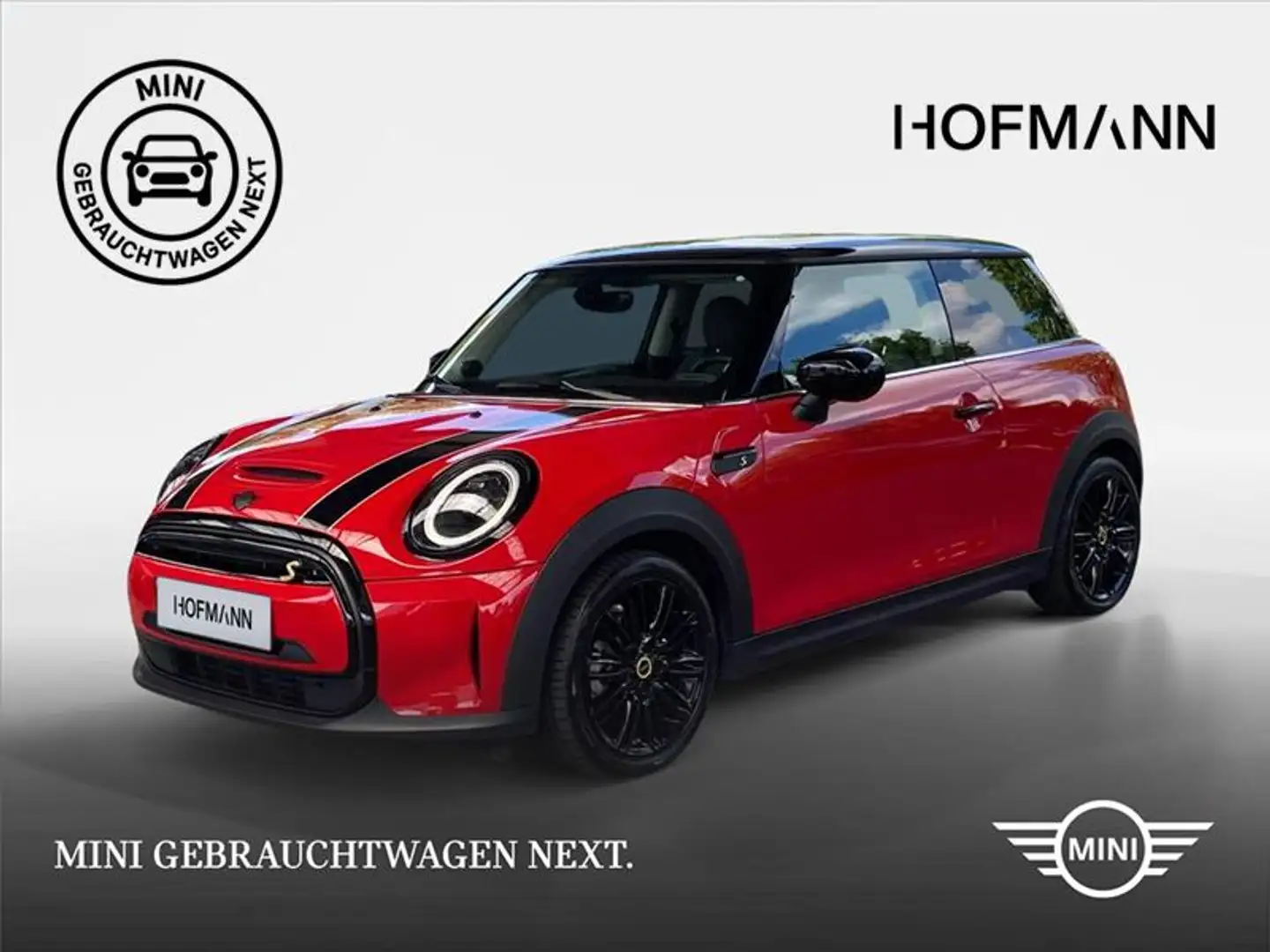 MINI Cooper SE Classic Trim Rot - 1