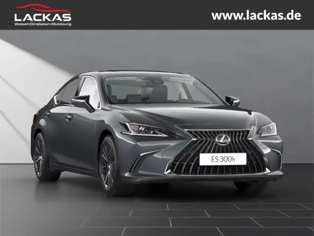 Lexus ES 300 Busniess Uber Paket