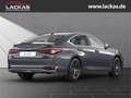 Lexus ES 300 h*BUSINESS*SOFORT*SCHIE BEDACH*15J-GARANTIE* Szürke - thumbnail 6