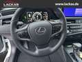 Lexus ES 300 h*BUSINESS*SOFORT*SCHIE BEDACH*15J-GARANTIE* Szürke - thumbnail 10