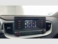 Kia Ceed / cee'd 1.0 T-GDI Concept Blanco - thumbnail 15