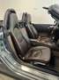 Porsche Boxster Boxster 3.4 S 295cv Manuale Сірий - thumbnail 12