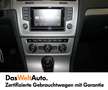 Volkswagen Golf Rabbit BMT TDI Gris - thumbnail 7