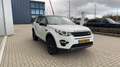 Land Rover Discovery Sport 2.2 TD4 4WD SE "wordt verwacht" Wit - thumbnail 5