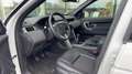 Land Rover Discovery Sport 2.2 TD4 4WD SE "wordt verwacht" Wit - thumbnail 6