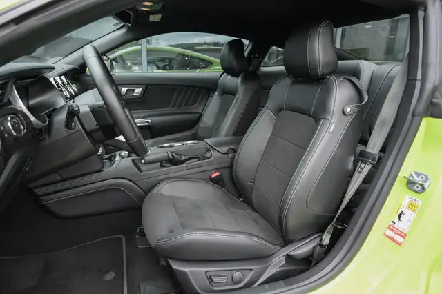 Ford Mustang view 11