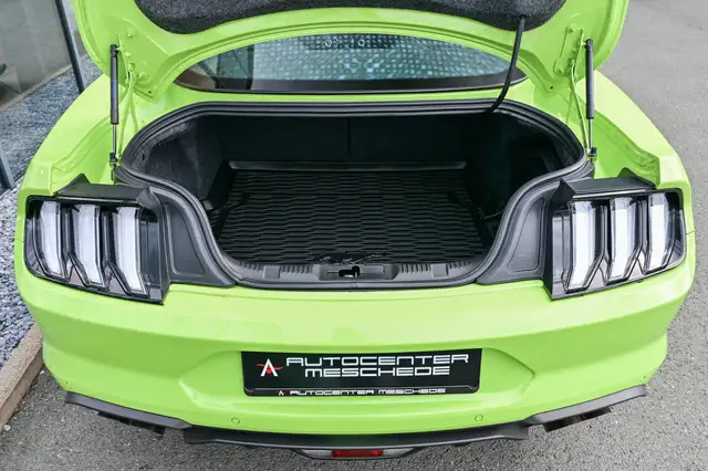 Ford Mustang view 8