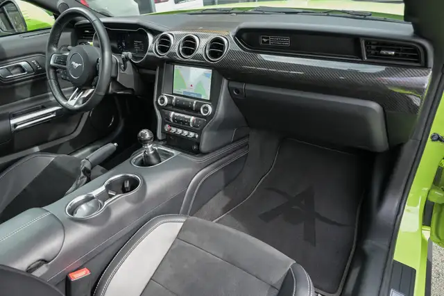Ford Mustang view 10