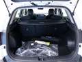 Kia Sportage 1.6 T-GDi HEV 171kW (230CV) Drive 4x2 Blanco - thumbnail 22