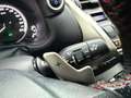 Lexus NX 300h NX 300h 4WD F SPORT E-CVT Grau - thumbnail 17