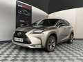 Lexus NX 300h NX 300h 4WD F SPORT E-CVT Grau - thumbnail 1