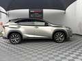 Lexus NX 300h NX 300h 4WD F SPORT E-CVT Grau - thumbnail 5