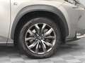 Lexus NX 300h NX 300h 4WD F SPORT E-CVT Grau - thumbnail 6