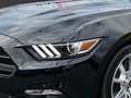 Ford Mustang 5.0 GT Fastback 50 Years Edition - thumbnail 7