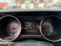 Ford Mustang 5.0 GT Fastback 50 Years Edition - thumbnail 11
