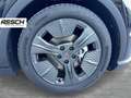 CUPRA Raval ENDURANCE 52/55 155kW/210 PS Schwarz - thumbnail 22