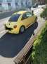 Volkswagen New Beetle - thumbnail 4