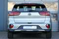 Kia Niro 1.6 GDI PHEV 2WD OPF Aut. Vision Szürke - thumbnail 6