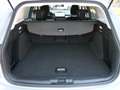 Ford Focus Wagon 1.0 EcoBoost Mild Hybrid 155 Pk Active Autom Gris - thumbnail 30