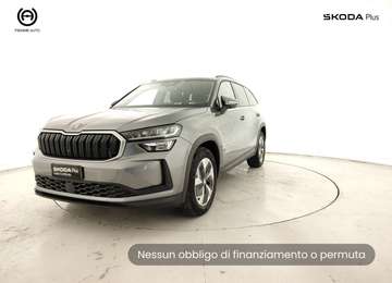 2.0 TDI EVO Executive DSG 7p