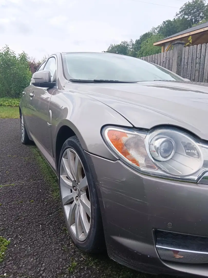 Jaguar XF XF 2,7 V6 Diesel Premium Luxury Premium Luxury Beige - 2