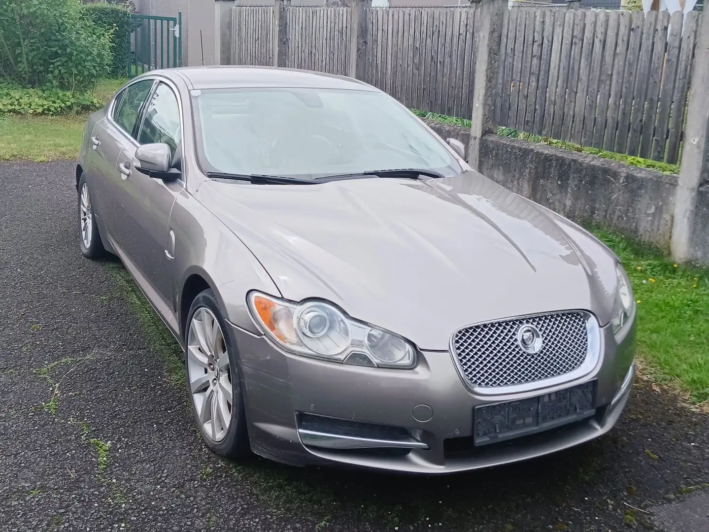 Jaguar XF XF 2,7 V6 Diesel Premium Luxury Premium Luxury Beige - 1