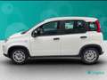 Fiat New Panda 1.0 FireFly Hybrid Sport Blanco - thumbnail 8