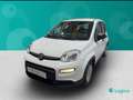 Fiat New Panda 1.0 FireFly Hybrid Sport Blanco - thumbnail 5