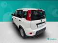 Fiat New Panda 1.0 FireFly Hybrid Sport Blanco - thumbnail 3