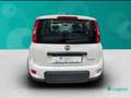 Fiat New Panda 1.0 FireFly Hybrid Sport Blanco - thumbnail 9