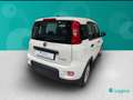 Fiat New Panda 1.0 FireFly Hybrid Sport Blanco - thumbnail 10