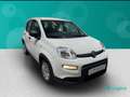 Fiat New Panda 1.0 FireFly Hybrid Sport Blanco - thumbnail 1