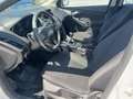 Ford Focus 1.5TDCi Business 95 Blanco - thumbnail 7