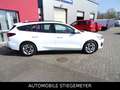 Ford Focus Turnier Cool & Connect Weiß - thumbnail 8
