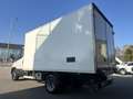 Iveco Daily 60C15FrigoFNAX-20°CATP12 274000x2105x1900kg2560 Bianco - thumbnail 7